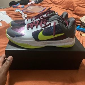 Kobe 5 chaos size 11